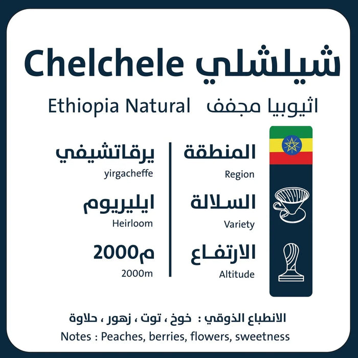Chelchele ethiopia | ORO Roastery