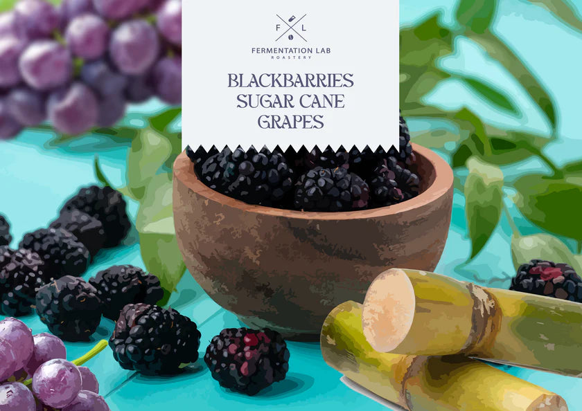 عنب هارموني | محمصة مختبر التخمير