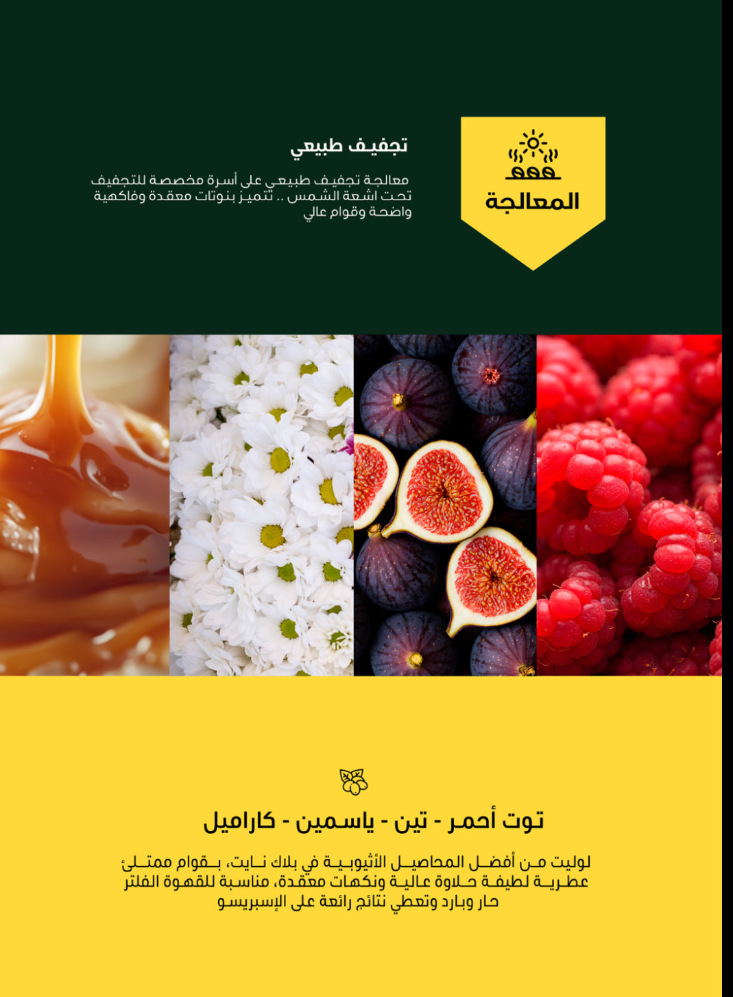 لوليت - إثيوبيا | محمصة الفارس الأسود