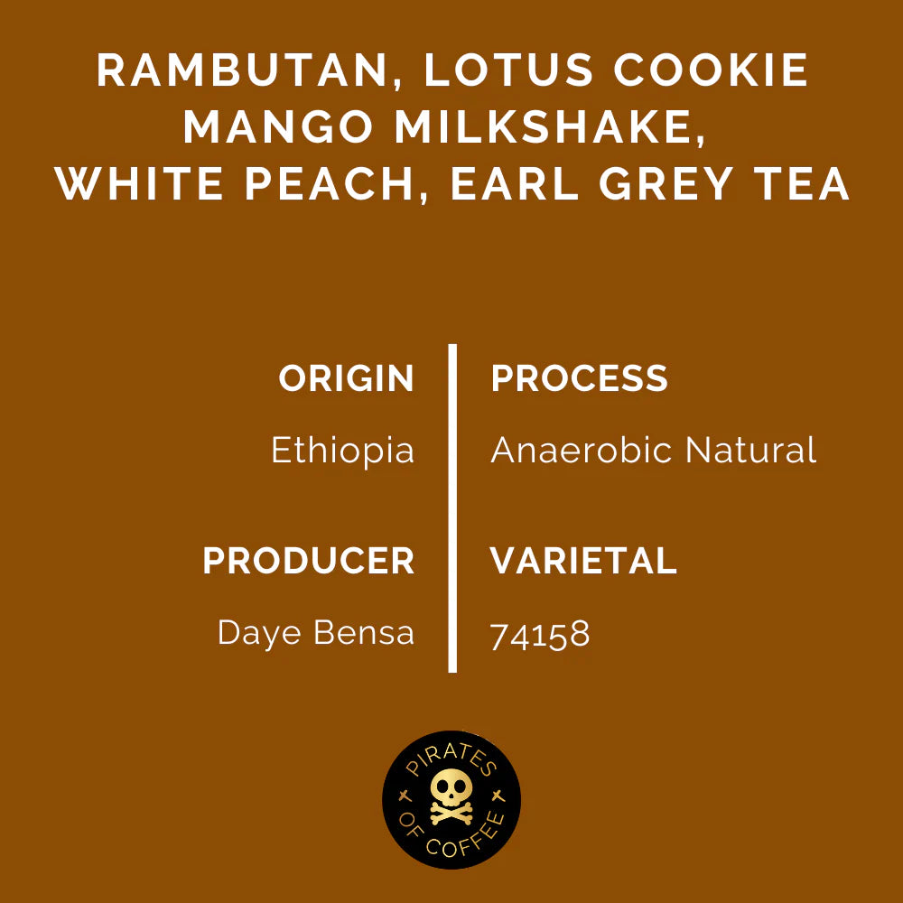 DAYE BENSA HAMASHO ANAEROBIC ESPRESSO: ETHIOPIA ANAEROBIC NATURAL | pirates of coffee