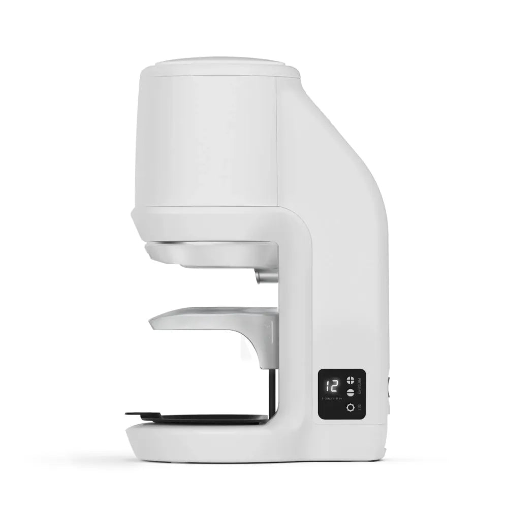 العبث التلقائي PuqPress Pro