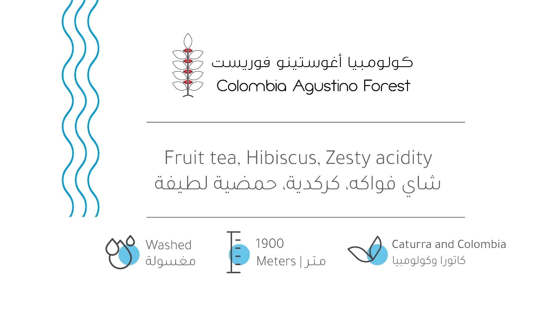 كولومبيا أغوستينو 227 غرام | بيت التحميص