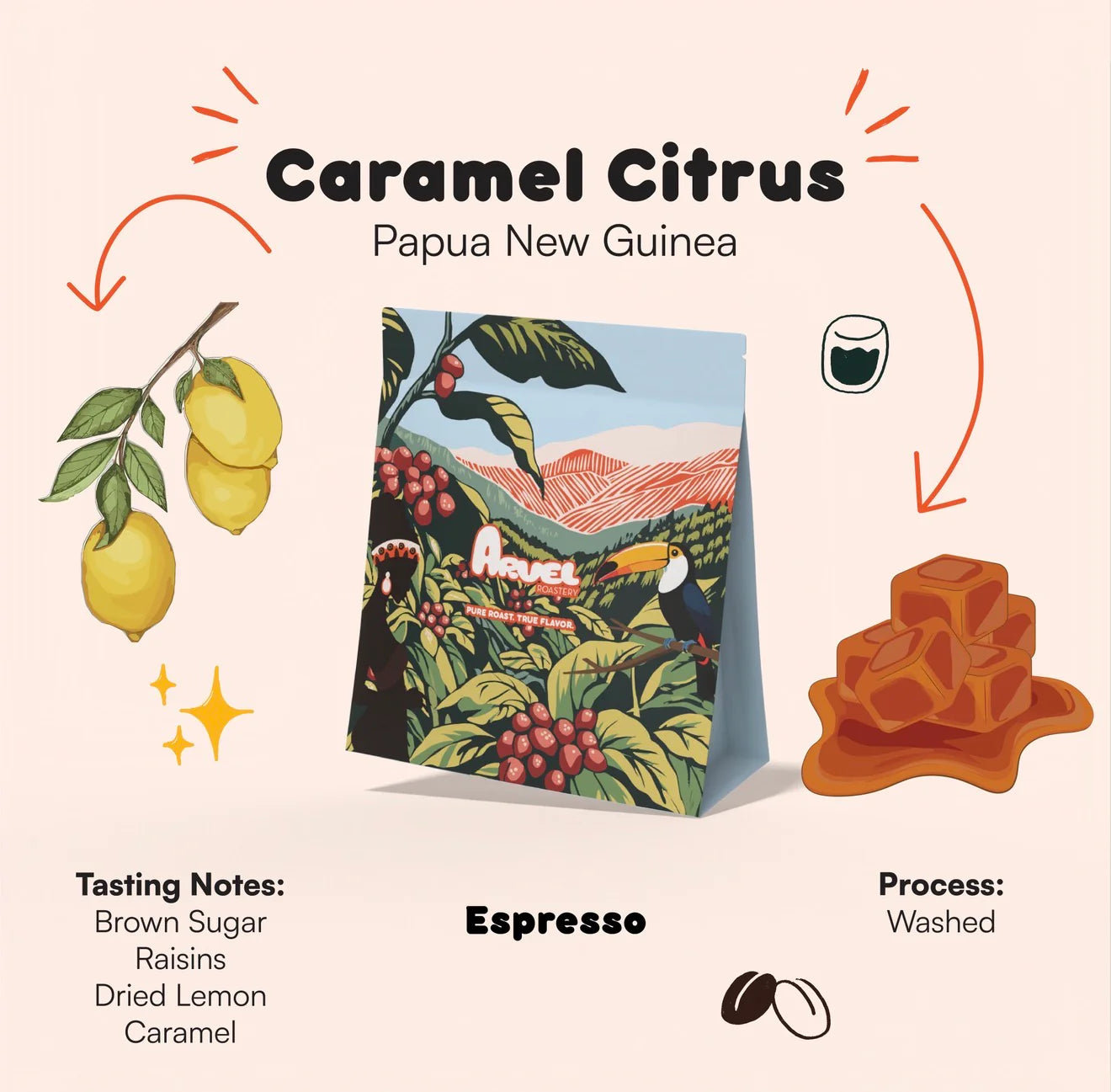 Caramel Citrus – Papua New Guinea| ARVEL ROASTERY