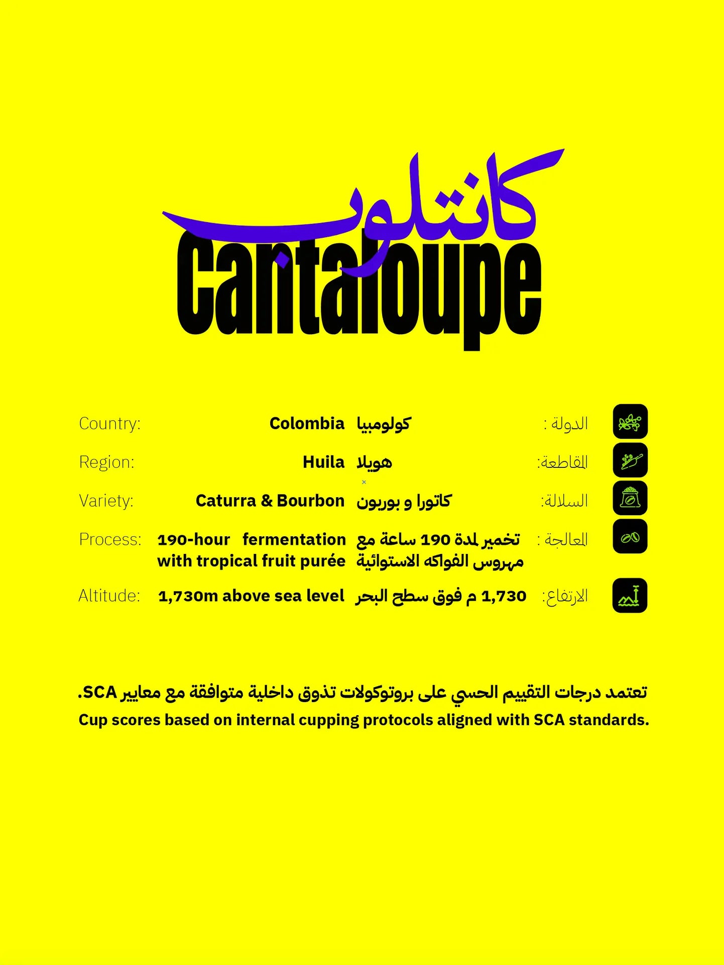 شمام | تشكيلة قهوة