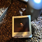 حبوب التبغ الإندونيسية