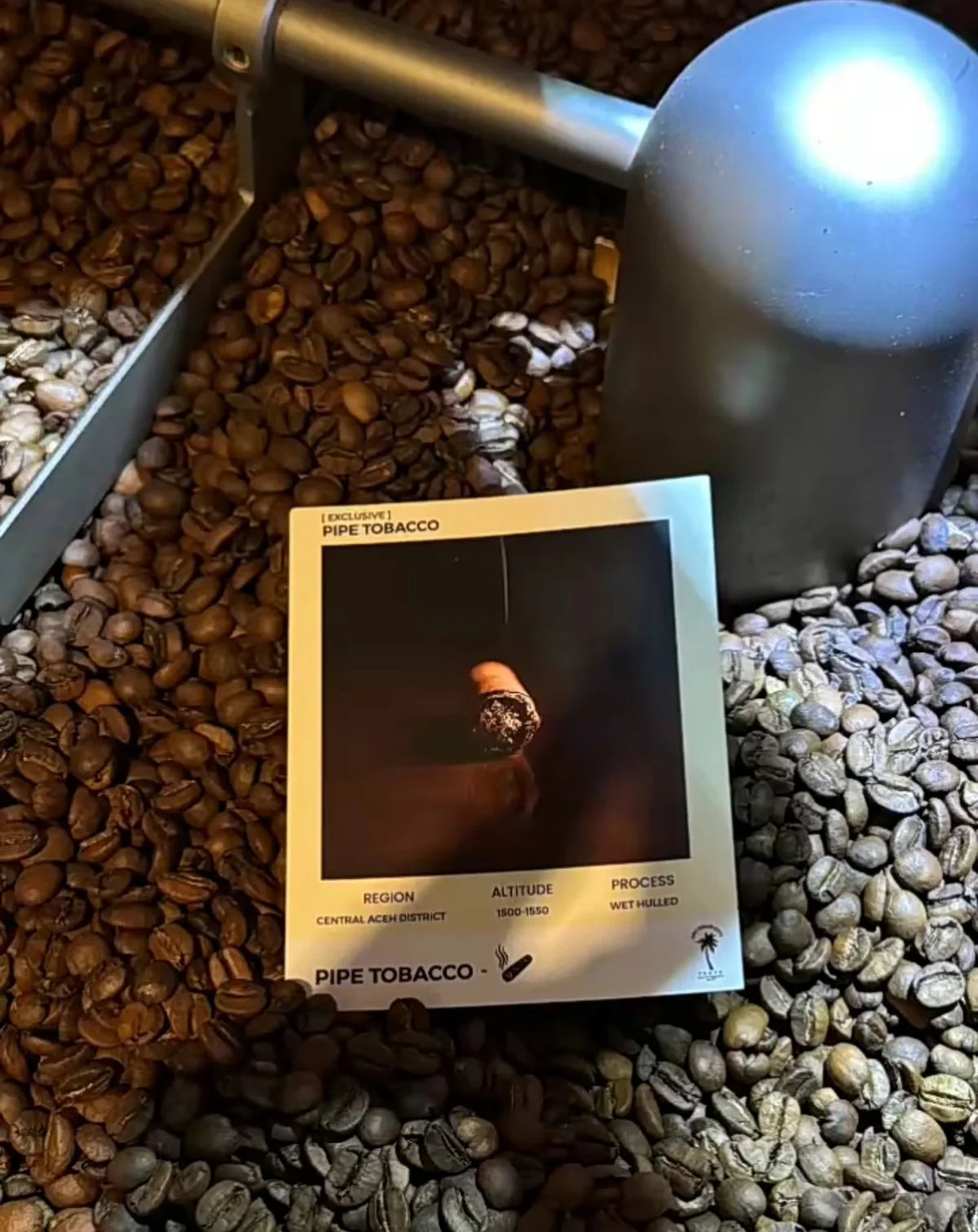 TOBACCO INDONESHIAN BEANS 3 guys coffee (8 xPods) - xbloom