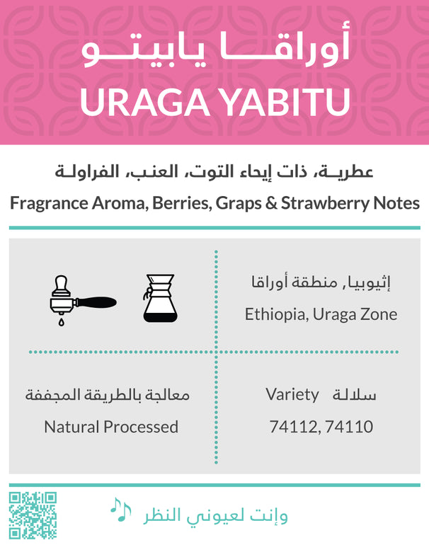 URAGA YABITU | Kiffa Roastery