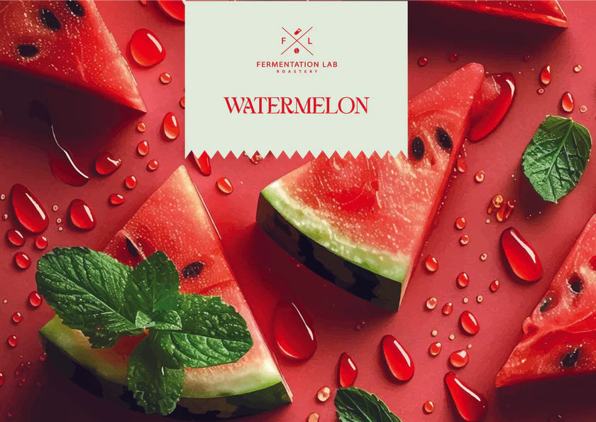 كولومبيا | محمصة تخمير البطيخ