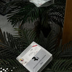 حبوب قهوة رافالو الكولومبية | قهوة ثري جايز