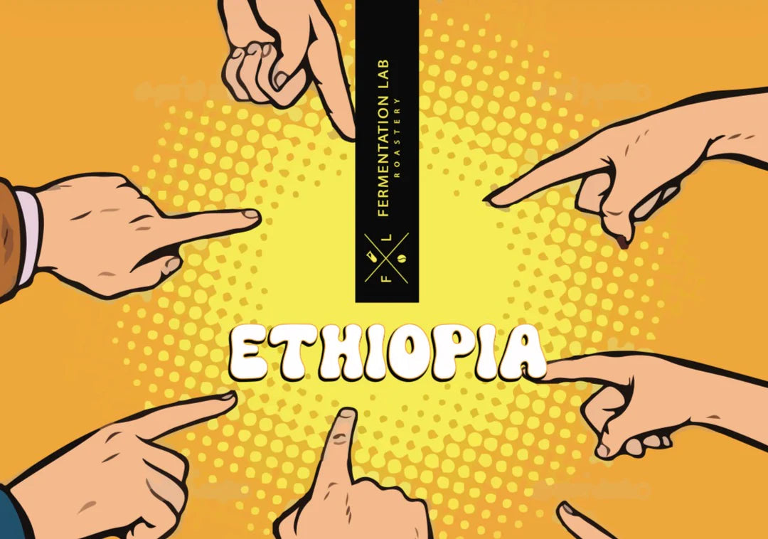 بشاير - محمصة مختبر التخمير