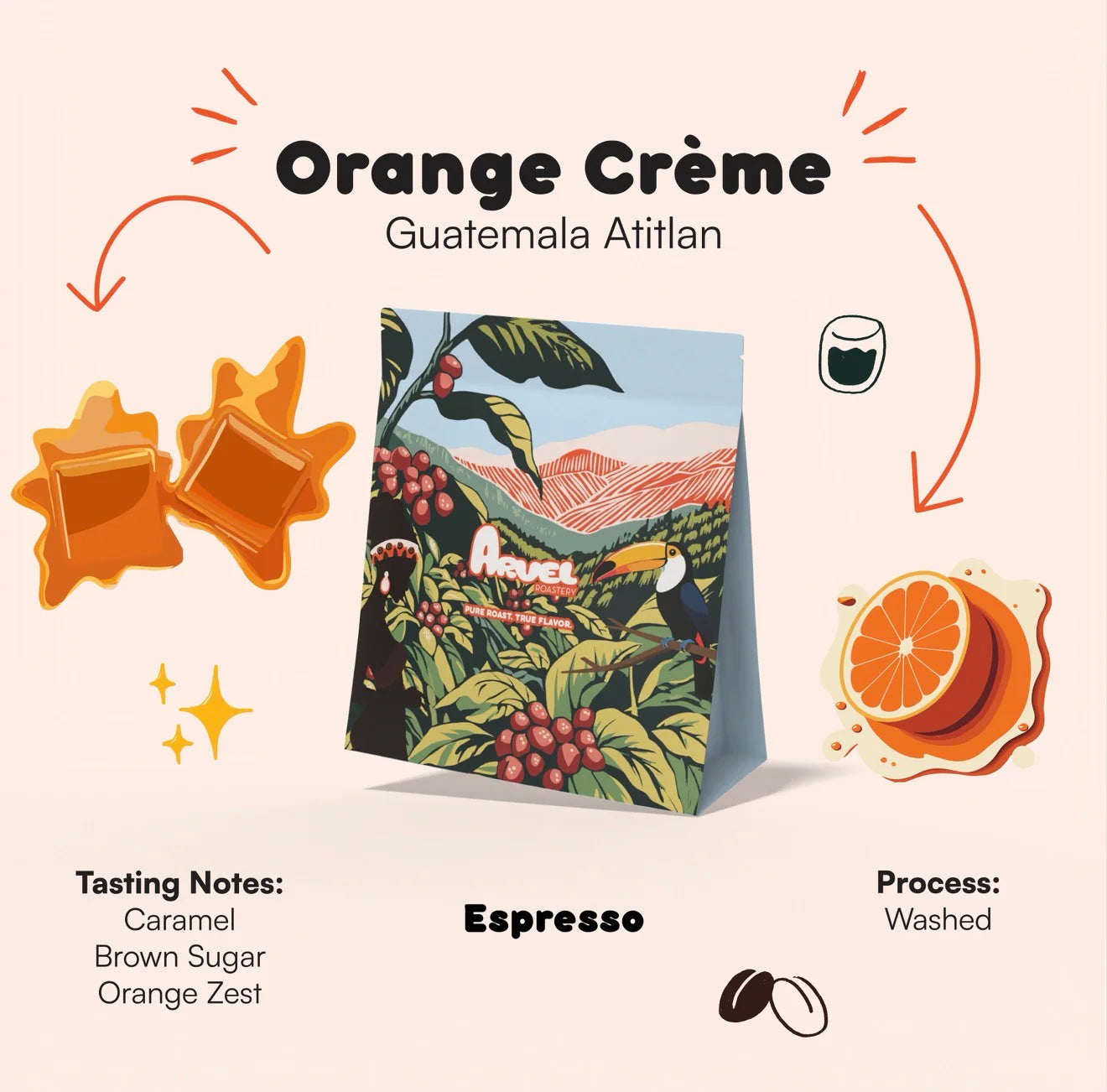 Orange Crème – Guatemala Atitlán | ARVEL ROASTERY