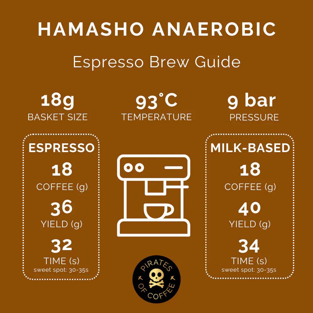 DAYE BENSA HAMASHO ANAEROBIC ESPRESSO: ETHIOPIA ANAEROBIC NATURAL | pirates of coffee