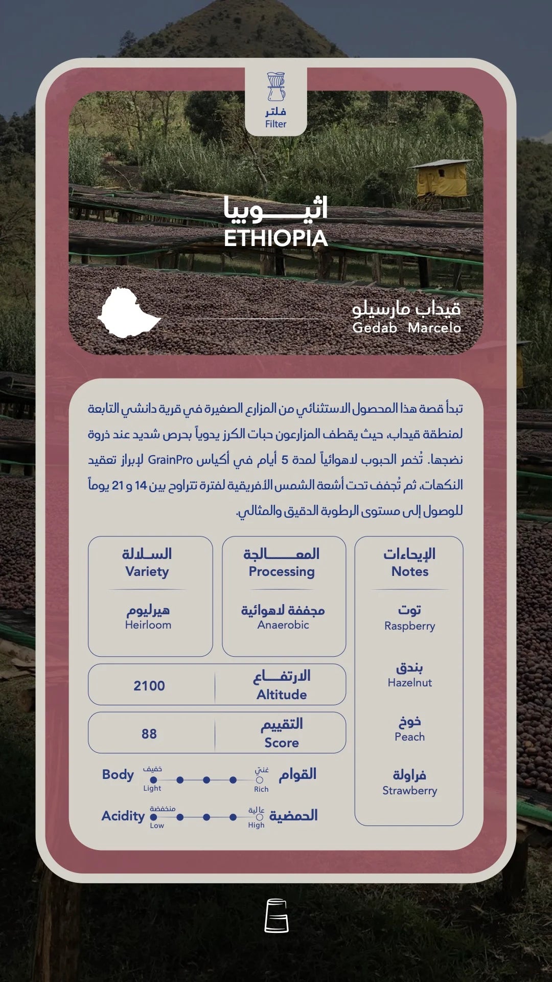 إثيوبيا-جيداب مارسيلو| محمصة سوا