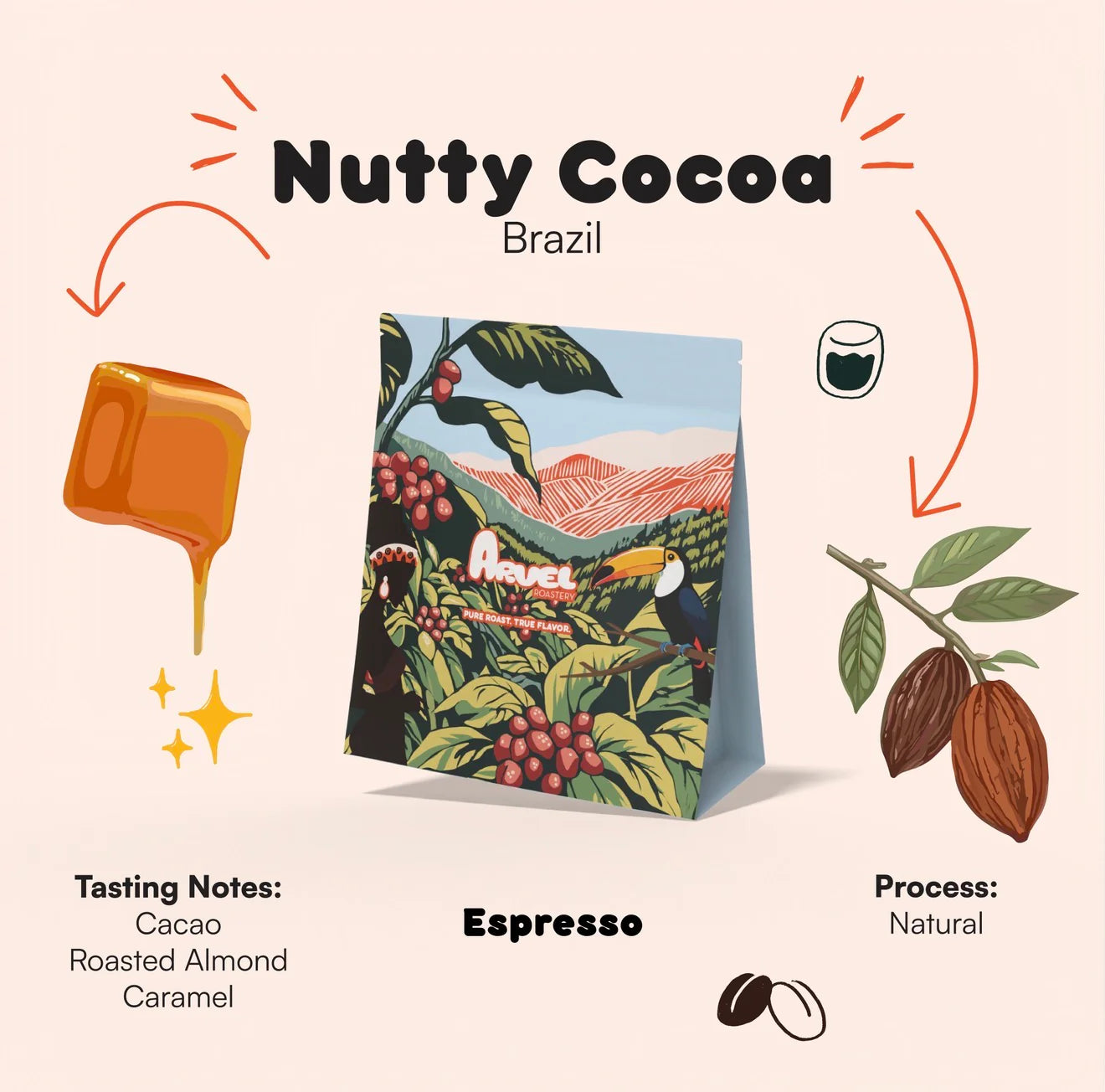 Nutty Cocoa – Brazil| ARVEL ROASTERY