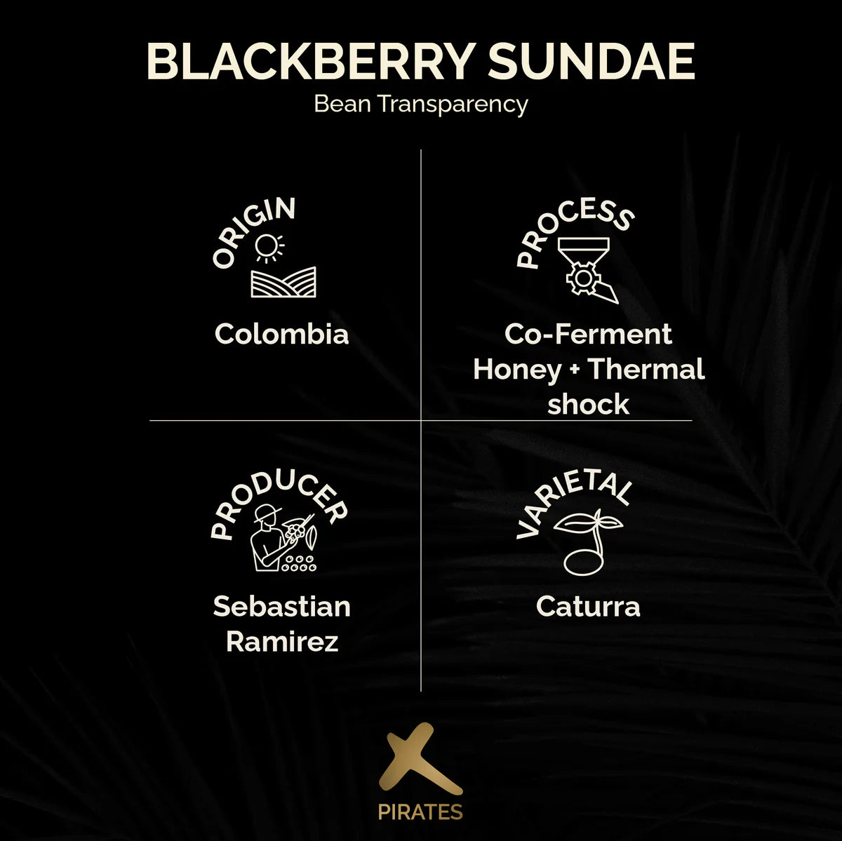 BLACKBERRY SUNDAE: COLOMBIA CO-FERMENT HONEY + THERMAL SHOCK | pirates of coffee