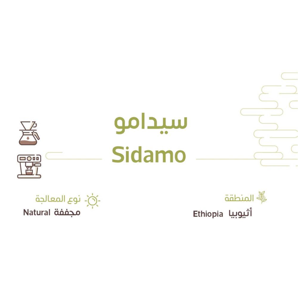 Ethiopia- Sidamo | Black Stamp Roastery