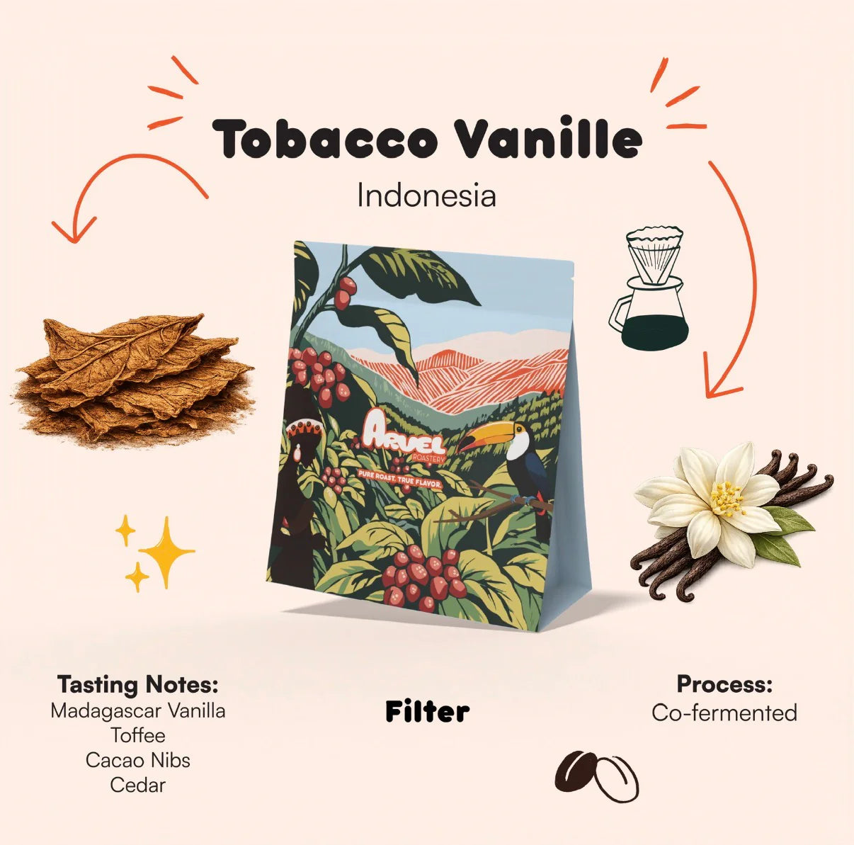 Tobacco Vanille - Indonesia | Arvel  Roastery
