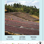 فيصل الإثيوبي | مقهى ثري جايز