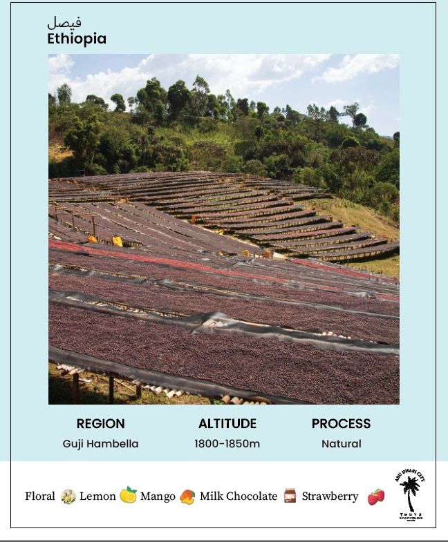 فيصل الإثيوبي | مقهى ثري جايز