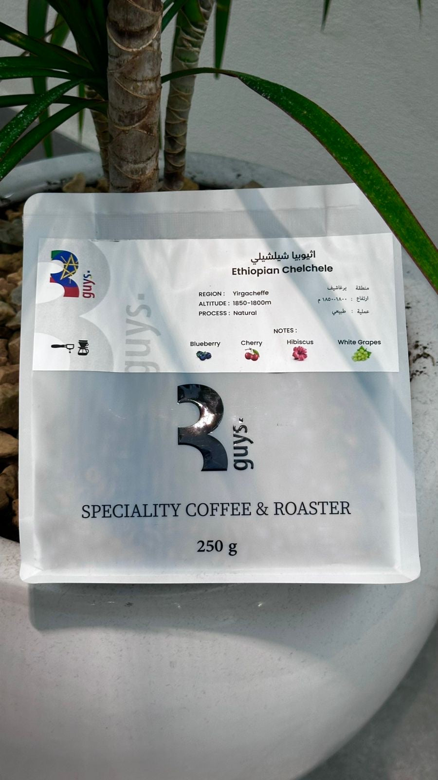 شيليشيلي الإثيوبية | قهوة ثري جايز