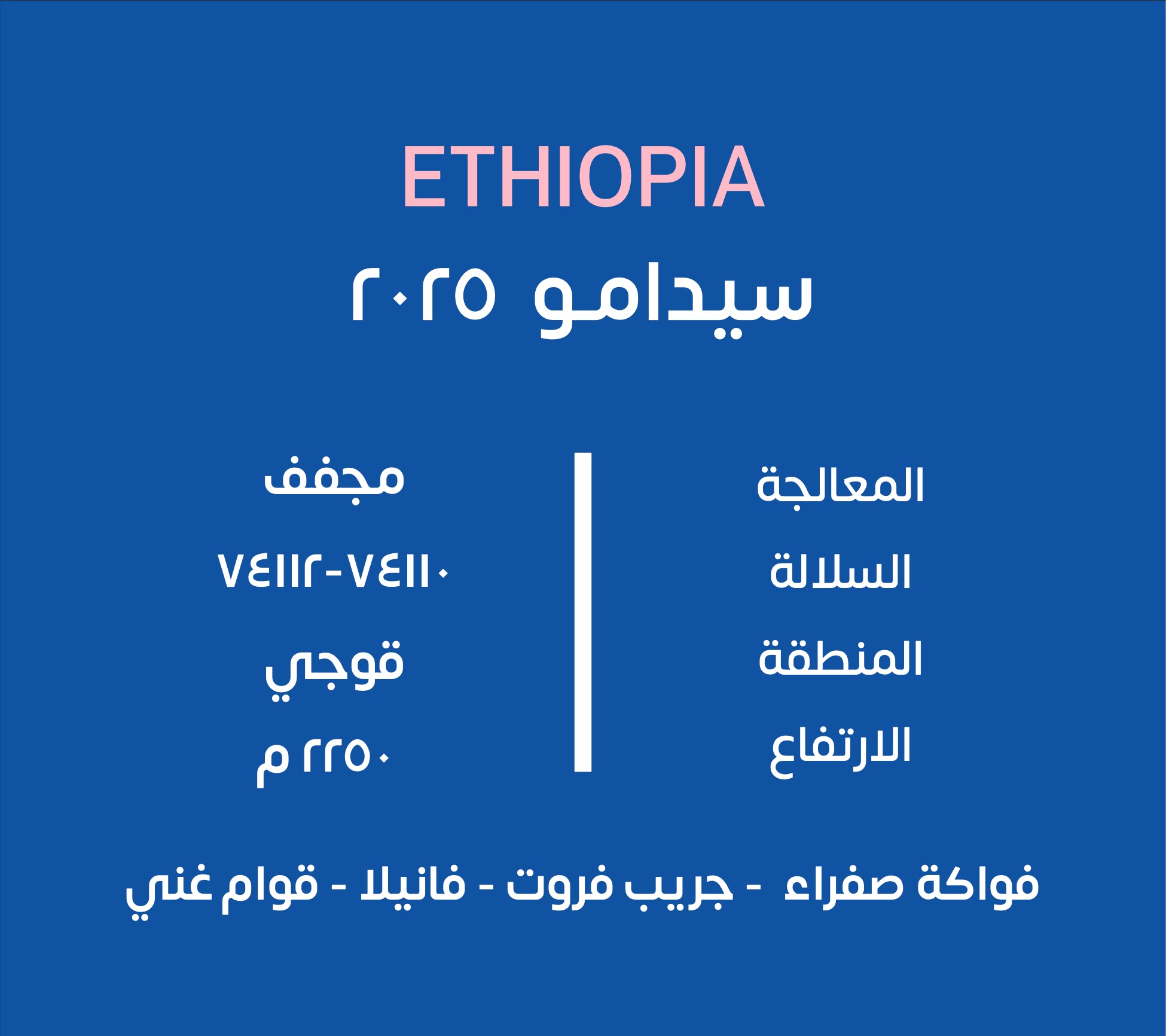 ETHIOPIA-SIDAMO|KUF ROASTERY