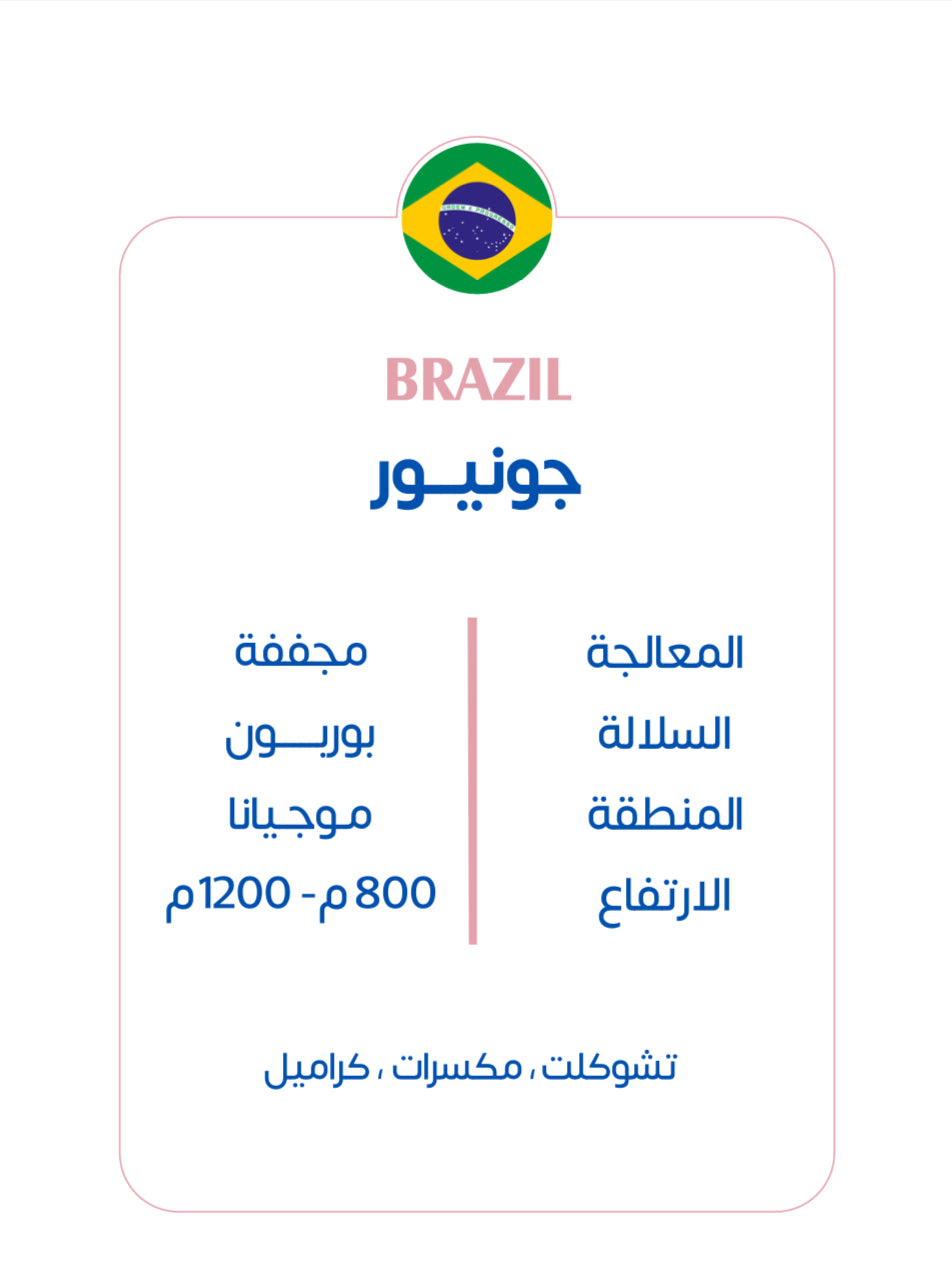 Brazilian Junior | Kuf Roastery