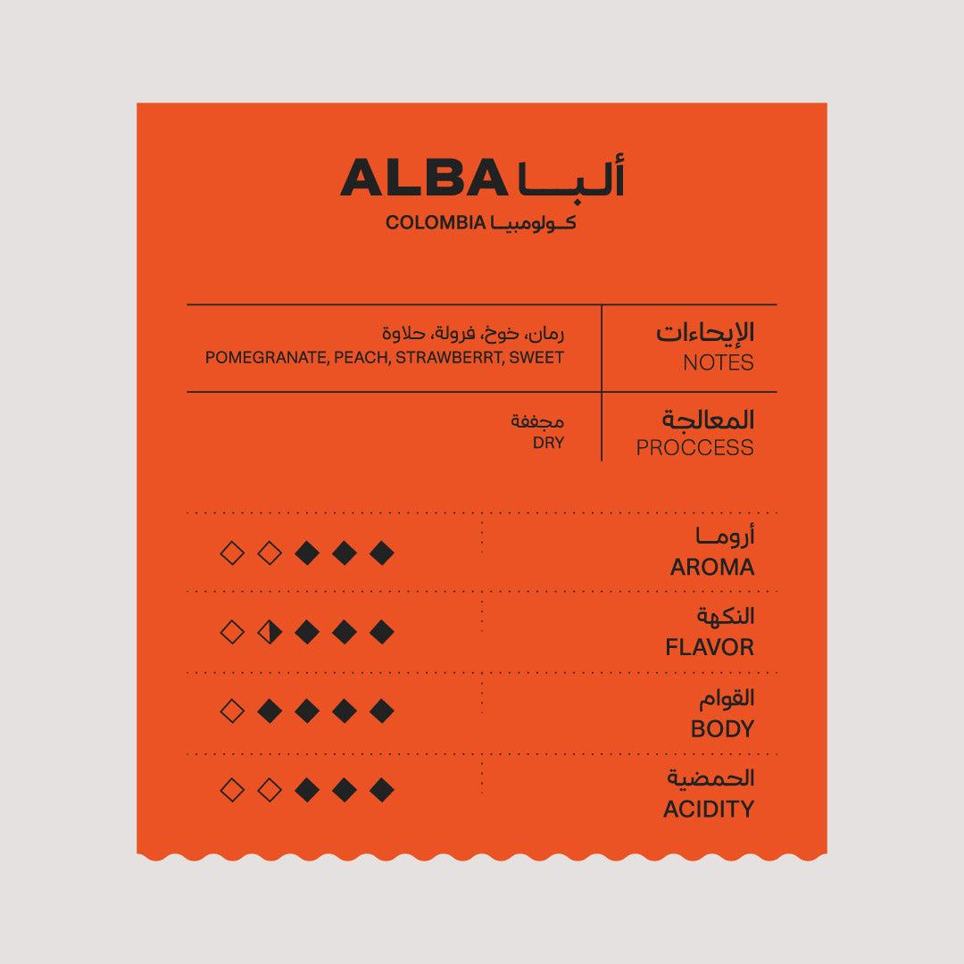 Ruzma Alba -Drip bag|Soil Roastery