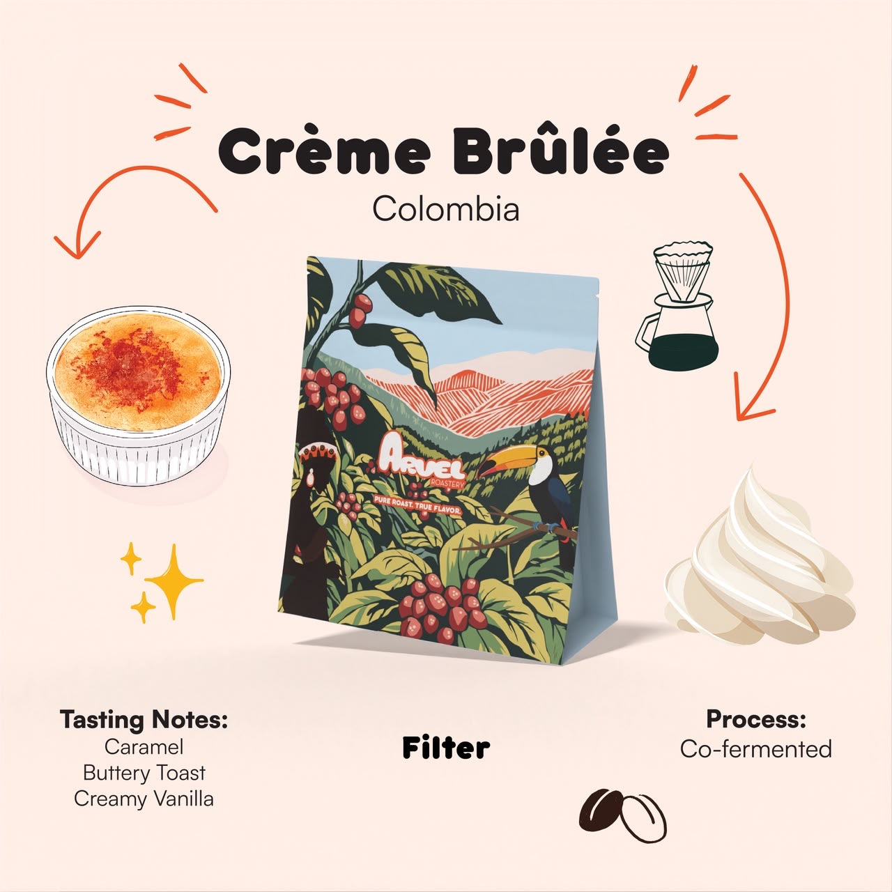 CREME BRÛLÉE- COLOMBIA | ARVEL ROASTERY