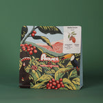 Nutty Cocoa – Brazil| ARVEL ROASTERY