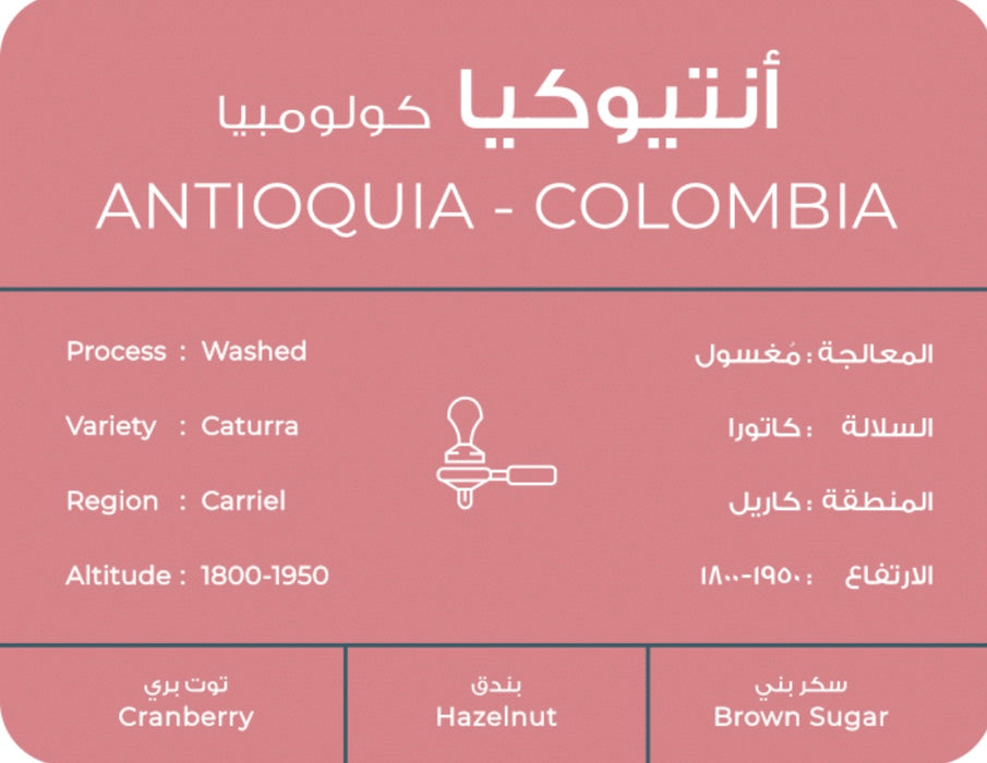 ANTIOQUIA Colombia | south coffee
