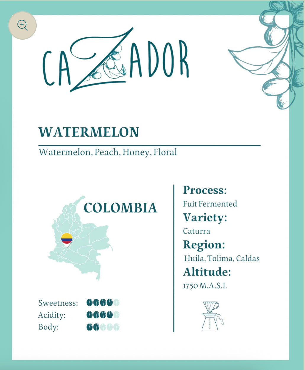 Colombia 🍉 Watermelon | cazador coffee
