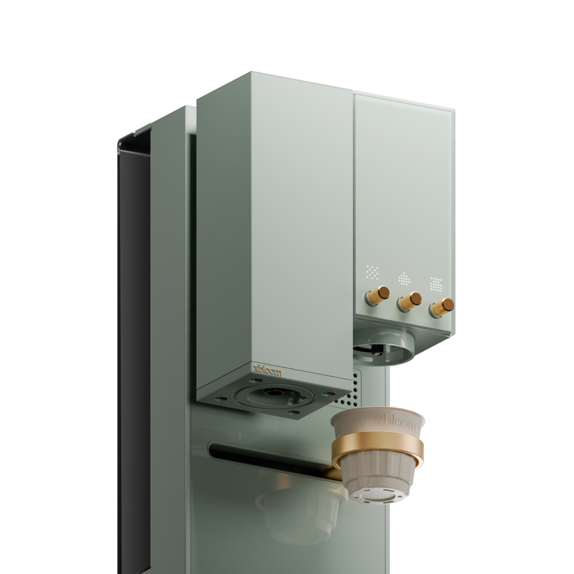 ماكينة قهوة إكس بلوم ستوديو باللون الأخضر المريمية