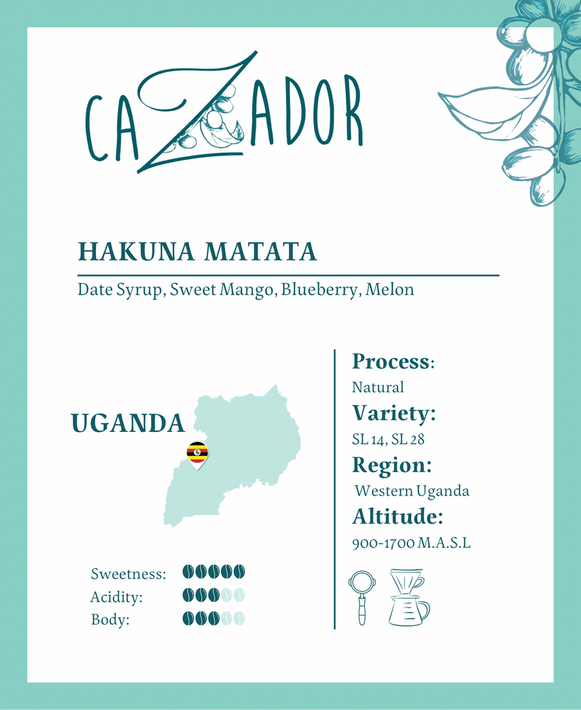 محمصة كازادور أوغندا هاكونا ماتاتا  كبسولات إكبسلوم  Cazador Roastery – (8 xPods) - xbloom - Uganda Hakuna Matata