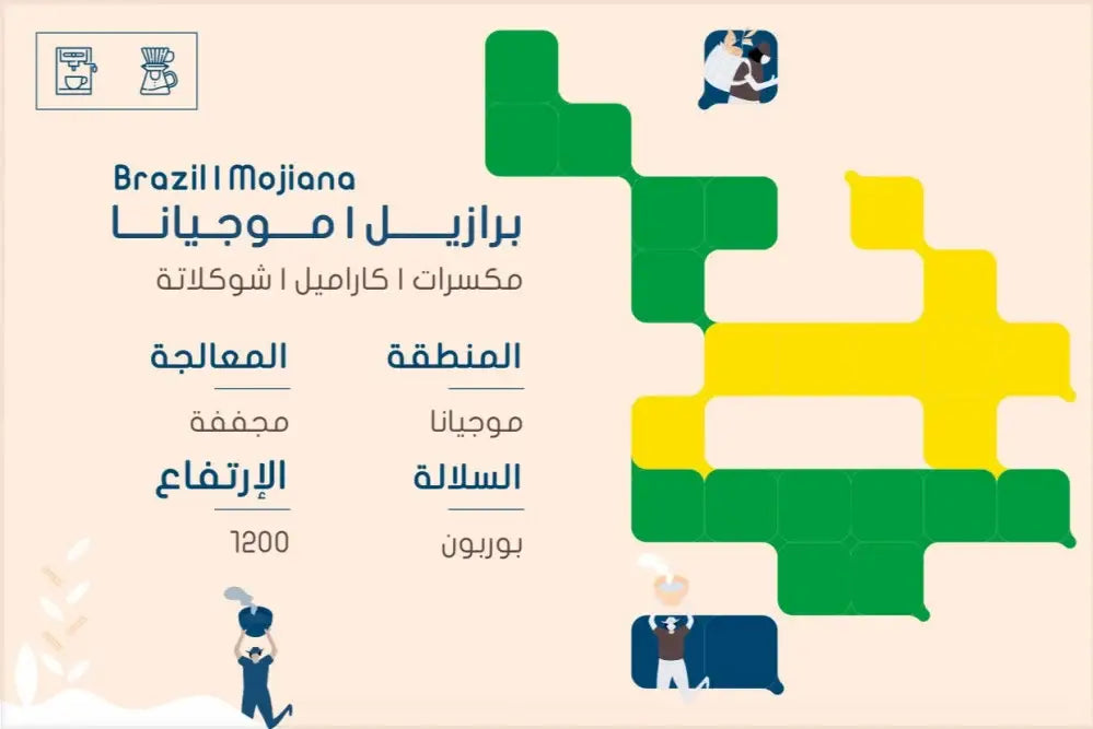 Brazil mojiana | slope roastery