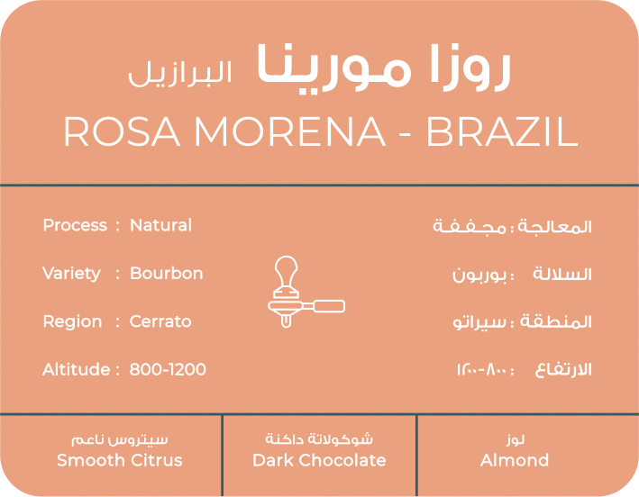 ROSA MORENA Brazil | south coffee
