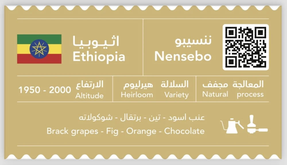 إثيوبيا نينسيبو سي آند بي روسترى