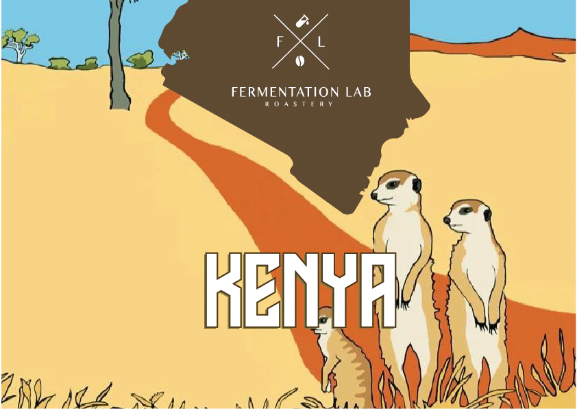 KENYA Timon - Fermentation Lab  - Fiter