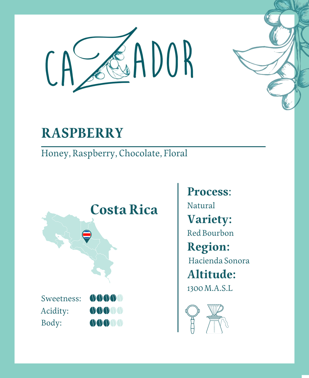 محمصة كازادور Costa Rica Raspberry  كبسولات إكبسلوم  Cazador Roastery – (8 xPods) - xbloom - Costa Rica Raspberry