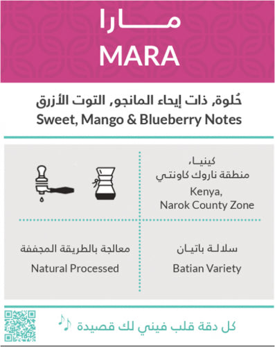 Mara مارا كينيا | KIFFA ROASTERY