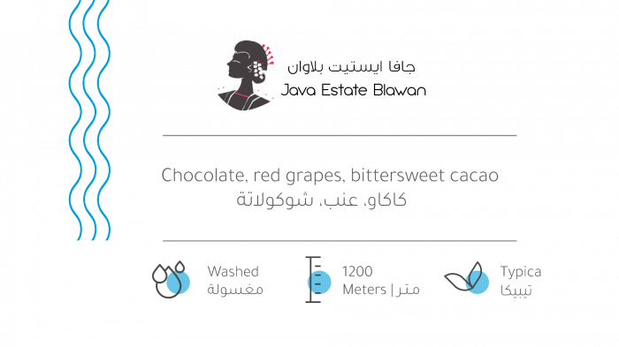 JAVA ESTATE BLAWAN THE ROASTING HOUSE 227g