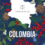 El Chapo CM Filter | FERMENTATION LAB ROASTERY