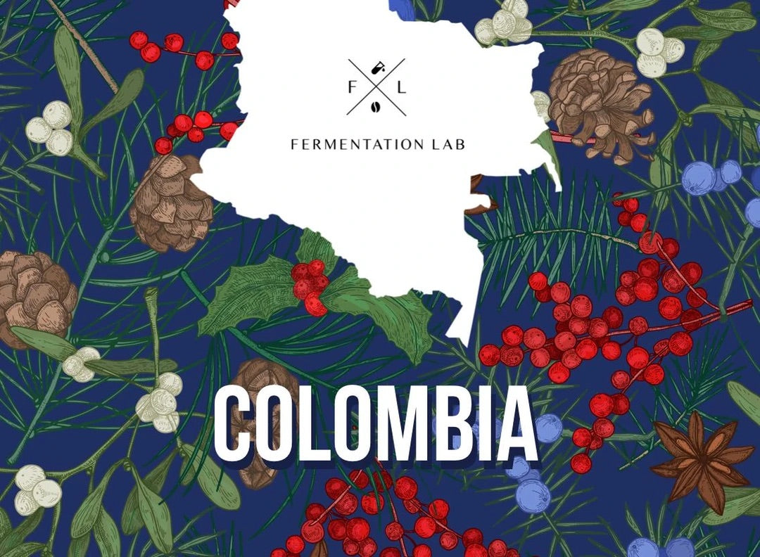 El Chapo CM Filter | FERMENTATION LAB ROASTERY
