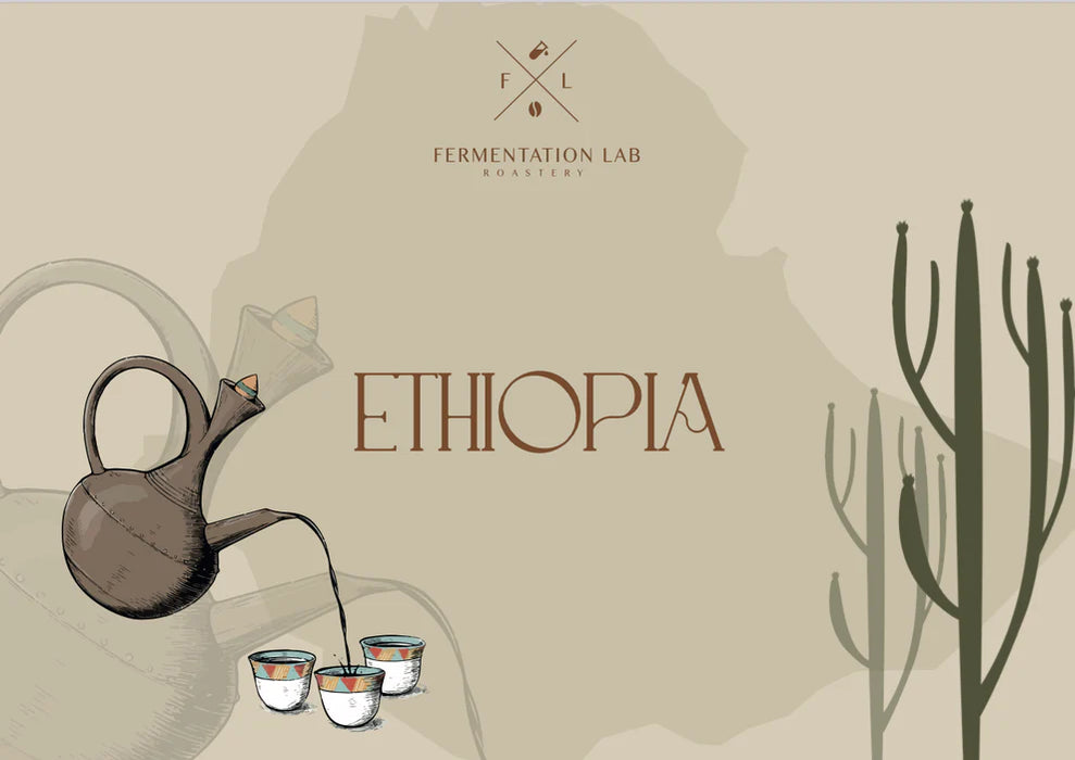 Ethiopia Al sila Fermentation lab Roastery