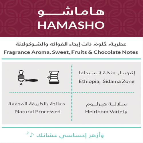 Kiffa roastery هاماشـــو HAMASHO