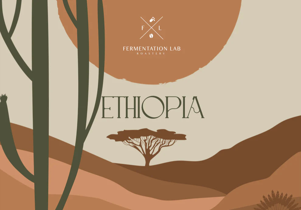 Ethiopia Zabeel Fermentation Lab Roastery