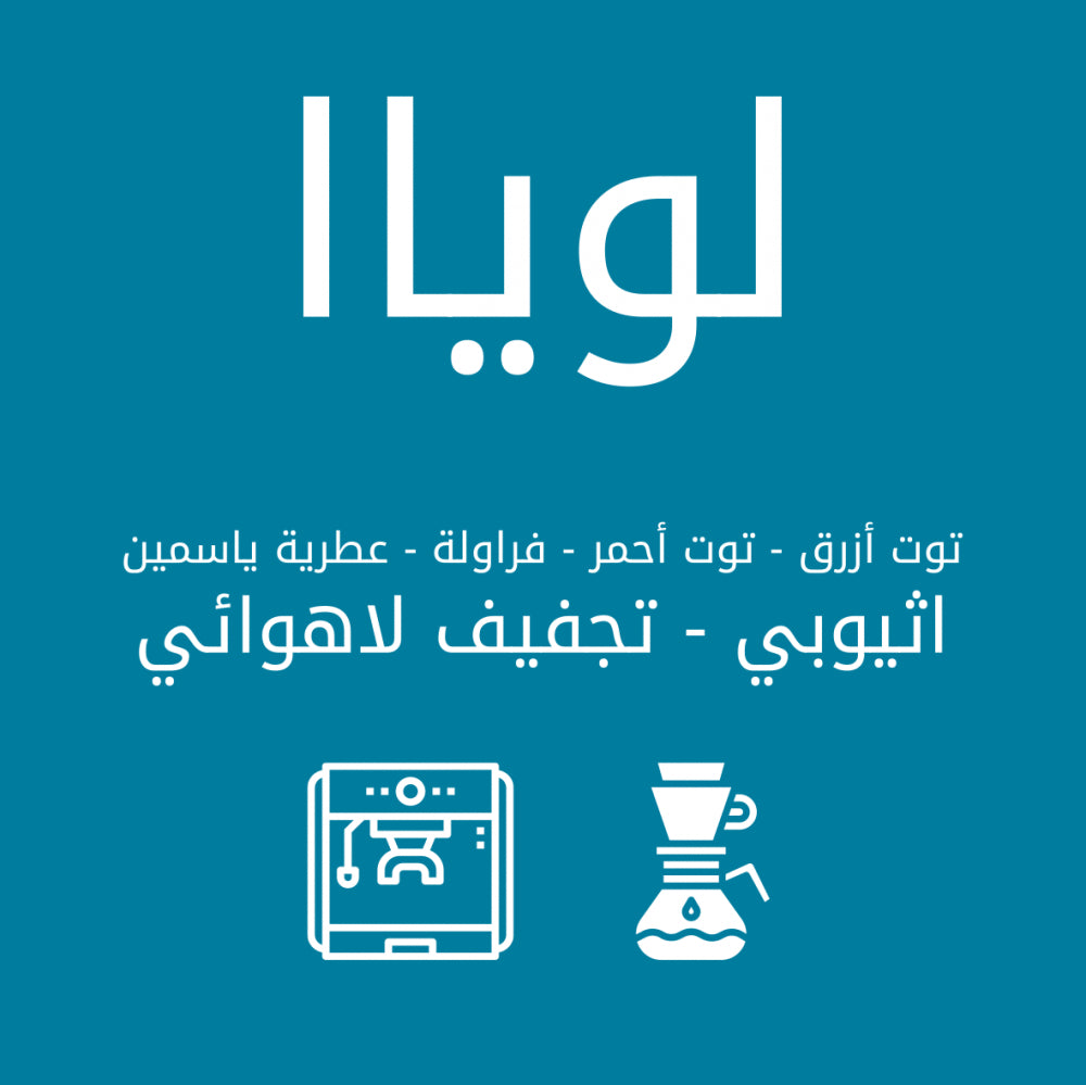 قهوة لويا الإثيوبية | محمصة بلاك نايت